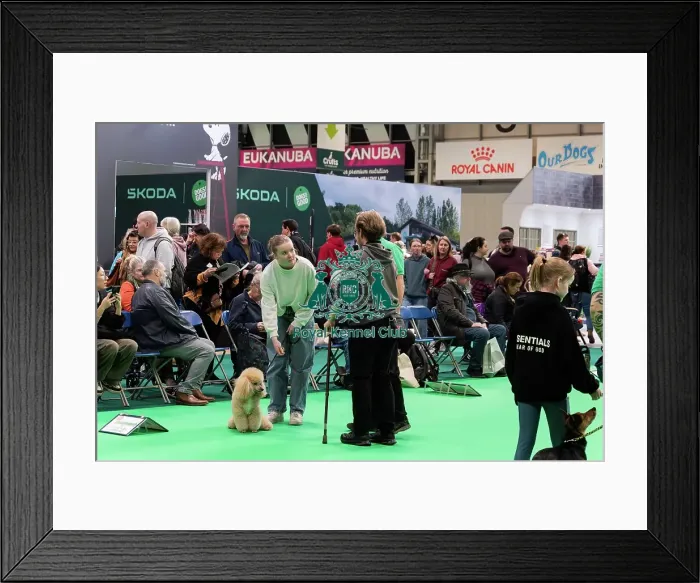 Framed Print : Have A Go Rally Activity Framed Print : Have A Go Rally Activity