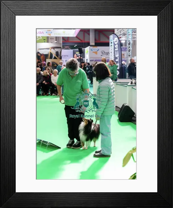 Framed Print : Have A Go Rally Activity Framed Print : Have A Go Rally Activity