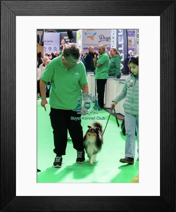 Framed Print : Have A Go Rally Activity Framed Print : Have A Go Rally Activity