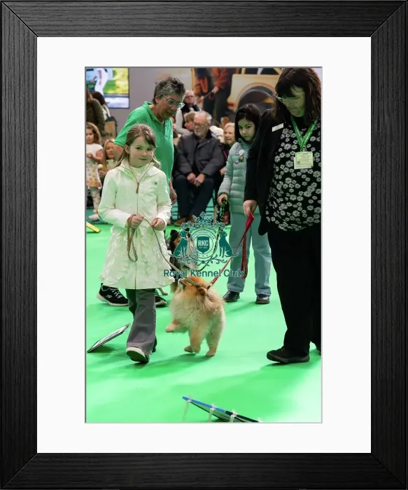 Framed Print : Have A Go Rally Activity Framed Print : Have A Go Rally Activity