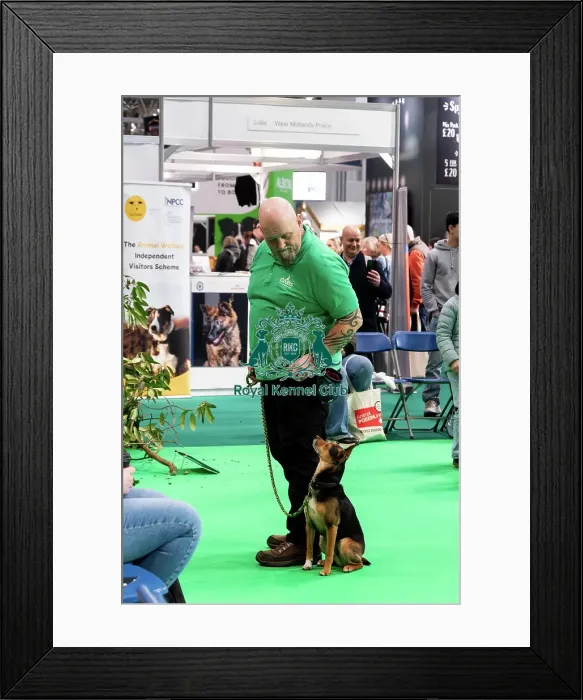 Framed Print : Have A Go Rally Activity Framed Print : Have A Go Rally Activity