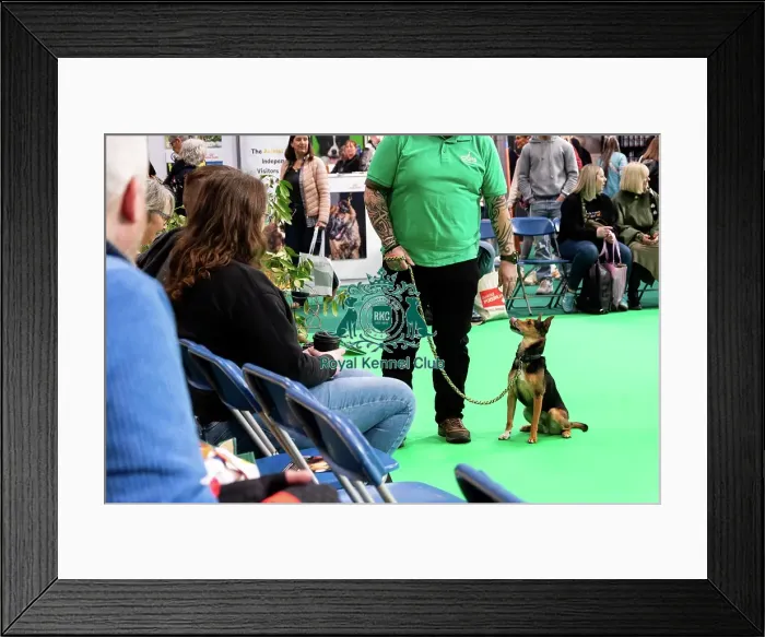 Framed Print : Have A Go Rally Activity Framed Print : Have A Go Rally Activity