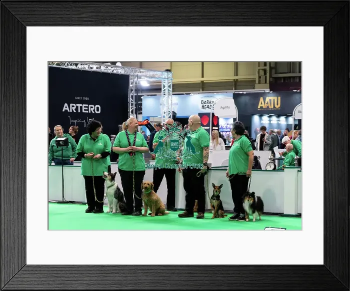 Framed Print : Have A Go Rally Activity Framed Print : Have A Go Rally Activity