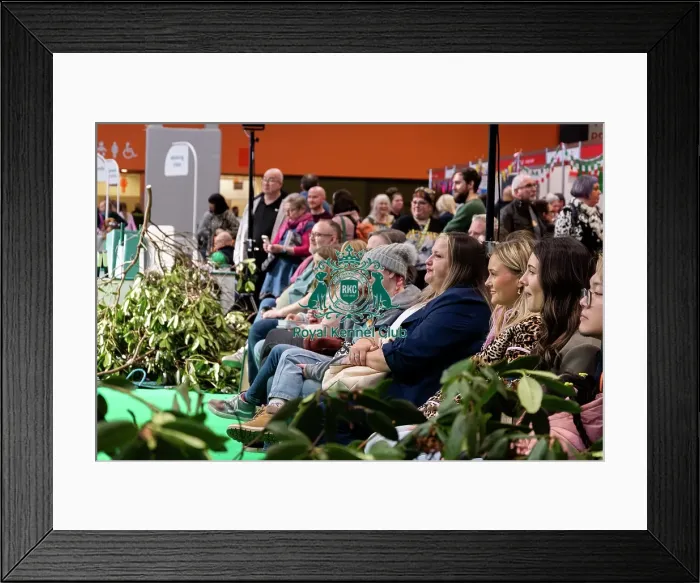 Framed Print : Have A Go Rally Activity Framed Print : Have A Go Rally Activity