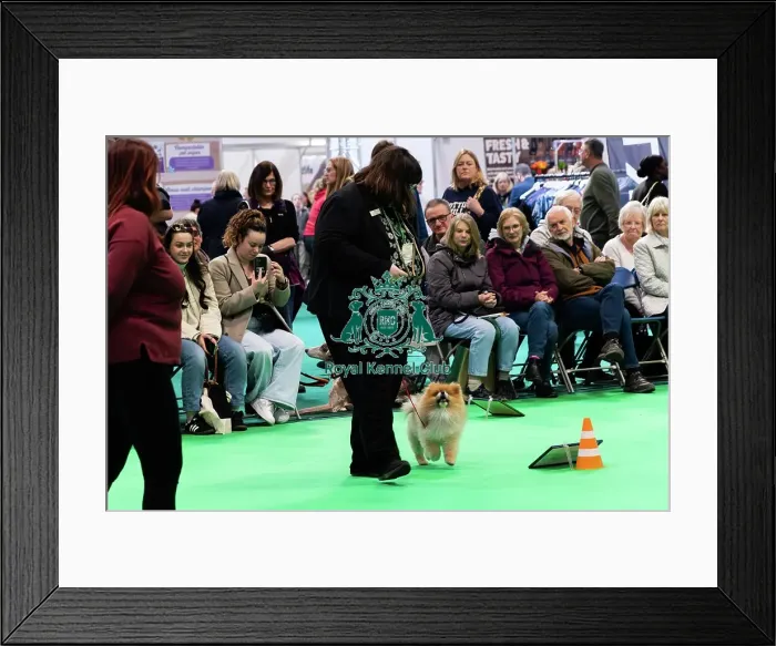 Framed Print : Have A Go Rally Activity Framed Print : Have A Go Rally Activity