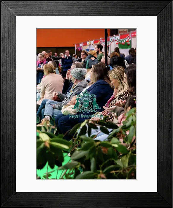 Framed Print : Have A Go Rally Activity Framed Print : Have A Go Rally Activity