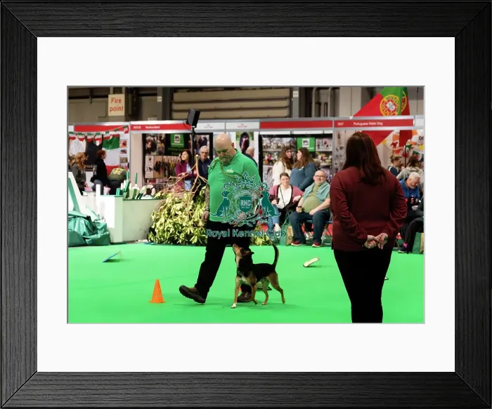 Framed Print : Have A Go Rally Activity Framed Print : Have A Go Rally Activity