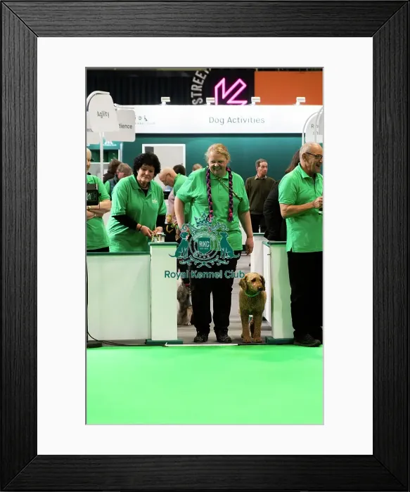 Framed Print : Have A Go Rally Activity Framed Print : Have A Go Rally Activity