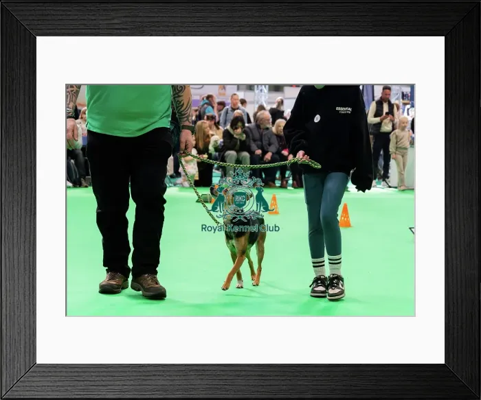 Framed Print : Have A Go Rally Activity Framed Print : Have A Go Rally Activity