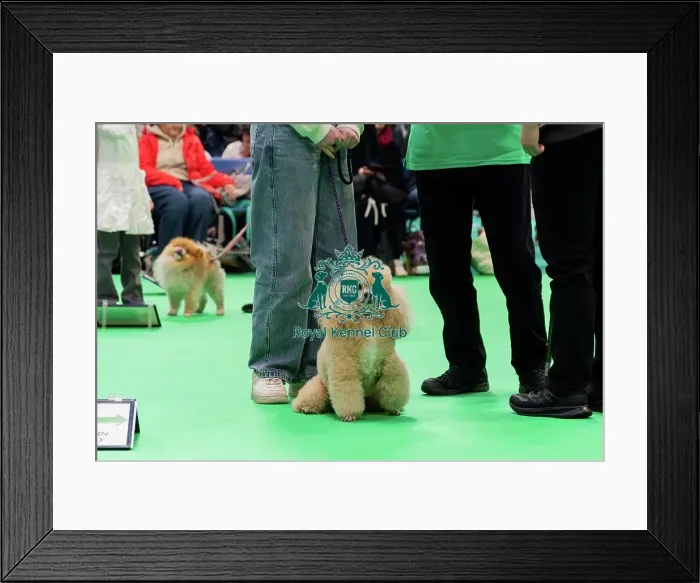 Framed Print : Have A Go Rally Display Framed Print : Have A Go Rally Display