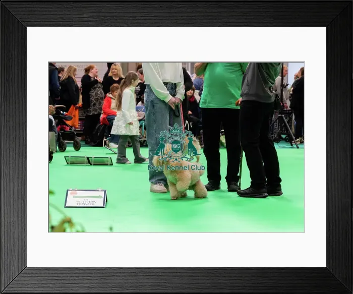 Framed Print : Have A Go Rally Display Framed Print : Have A Go Rally Display