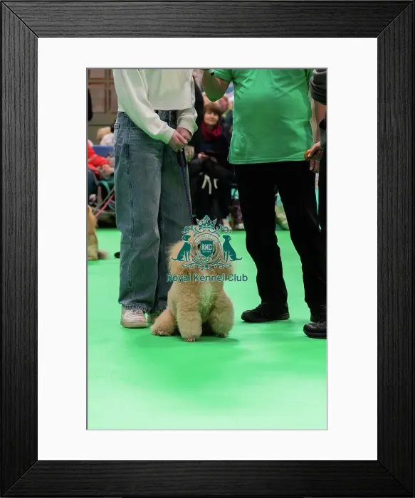 Framed Print : Have A Go Rally Display Framed Print : Have A Go Rally Display
