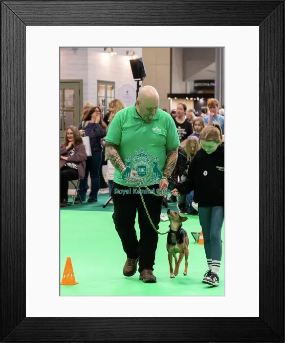 Framed Print : Have A Go Rally Activity Framed Print : Have A Go Rally Activity