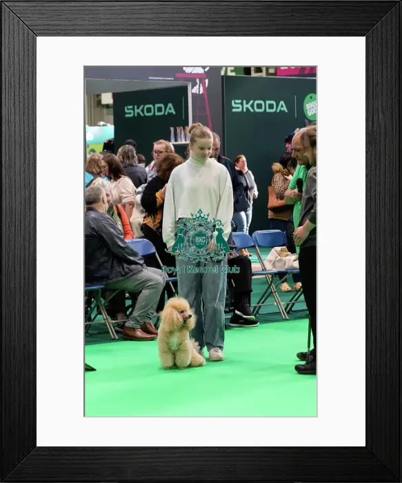 Framed Print : Have A Go Rally Activity Framed Print : Have A Go Rally Activity