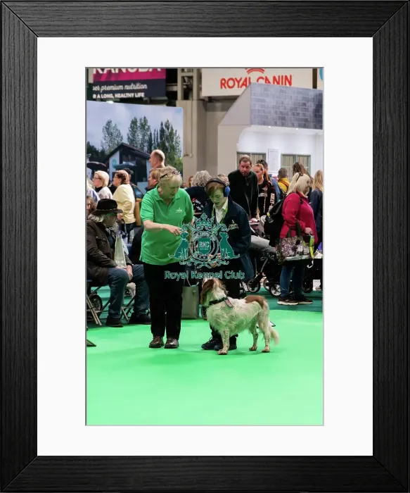 Framed Print : Have A Go Rally Display Framed Print : Have A Go Rally Display