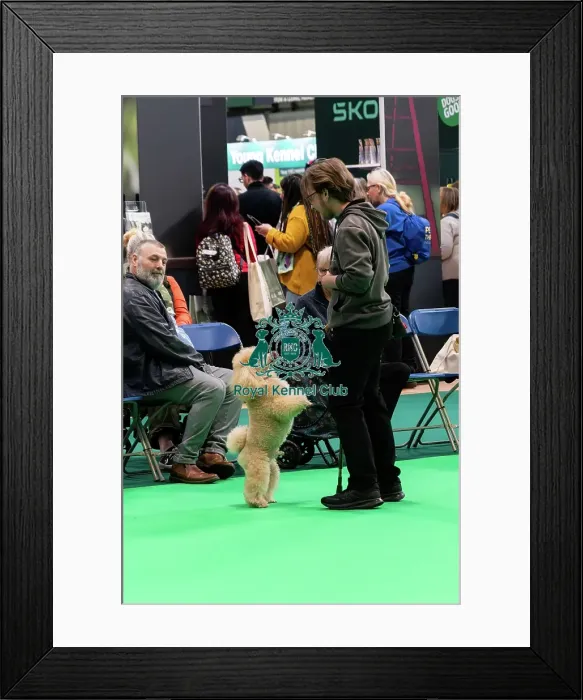 Framed Print : Have A Go Rally Display Framed Print : Have A Go Rally Display