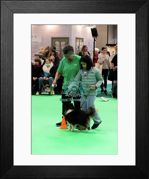 Framed Print : Have A Go Rally Display Framed Print : Have A Go Rally Display