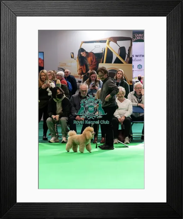 Framed Print : Have A Go Rally Display Framed Print : Have A Go Rally Display