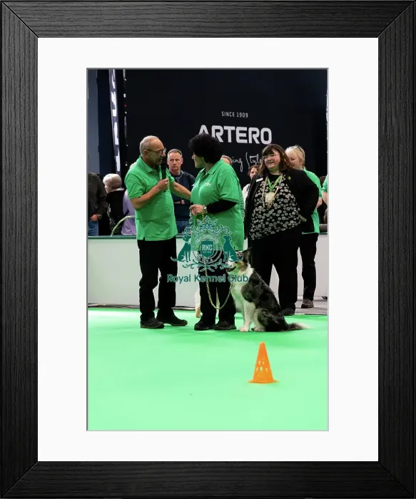 Framed Print : Have A Go Rally Display Framed Print : Have A Go Rally Display