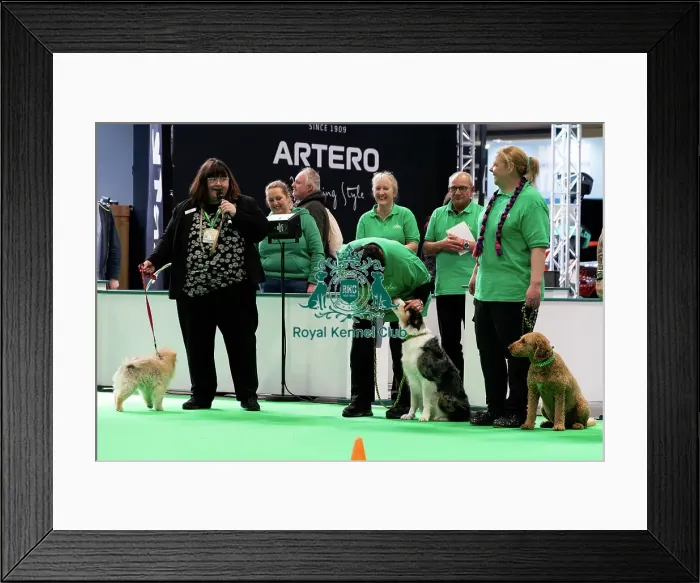 Framed Print : Have A Go Rally Display Framed Print : Have A Go Rally Display