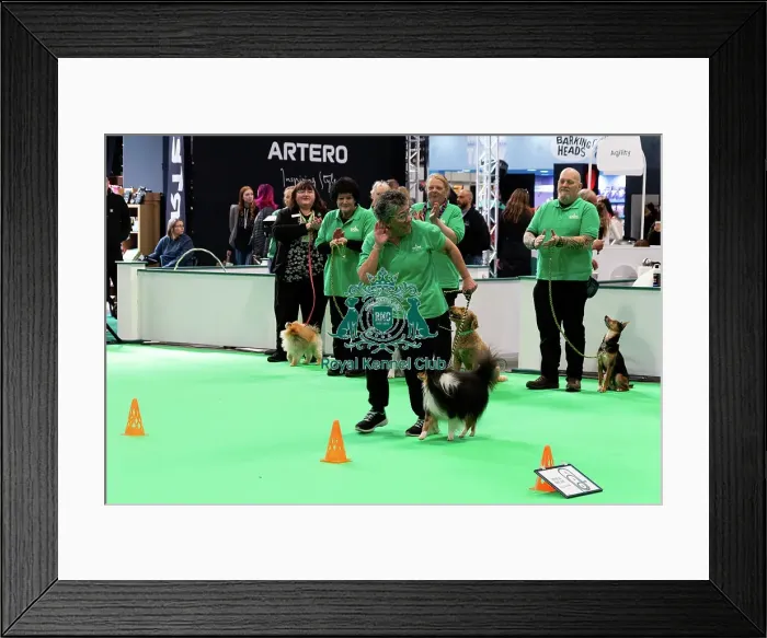 Framed Print : Have A Go Rally Activity Framed Print : Have A Go Rally Activity