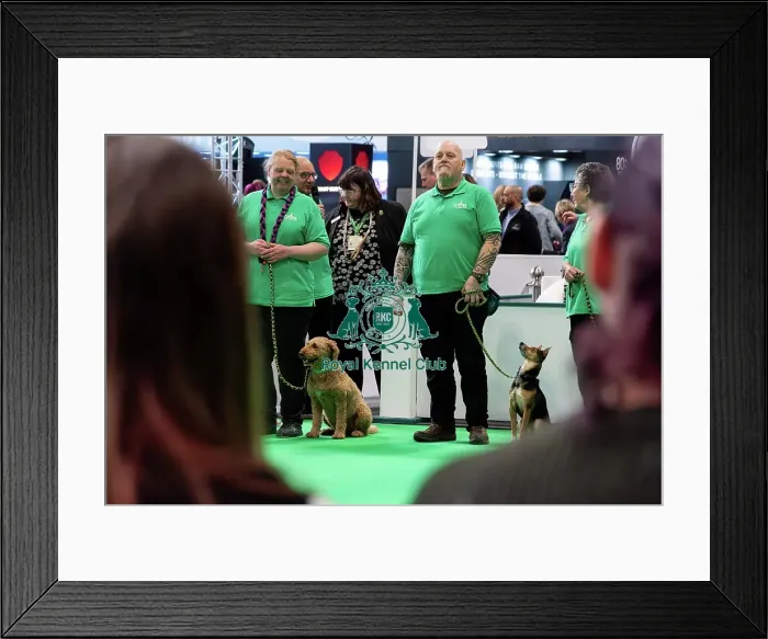 Framed Print : Have A Go Rally Display Framed Print : Have A Go Rally Display