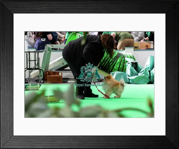 Framed Print : Have A Go Rally Display Framed Print : Have A Go Rally Display