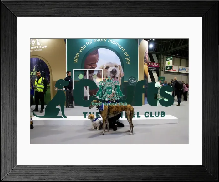 Framed Print : Local schoolchildren take part in bark and read