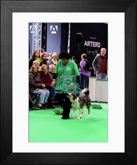 Framed Print : Have A Go Rally Display Framed Print : Have A Go Rally Display