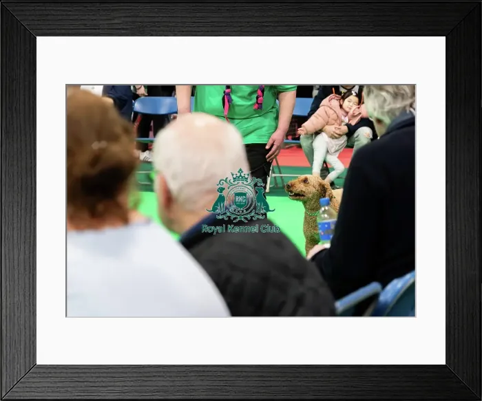 Framed Print : Have A Go Rally Display Framed Print : Have A Go Rally Display