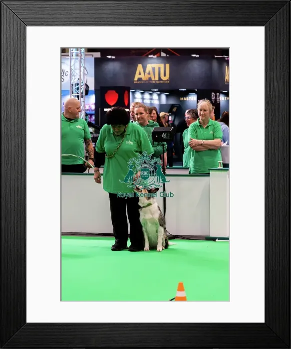 Framed Print : Have A Go Rally Display Framed Print : Have A Go Rally Display