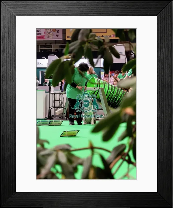 Framed Print : Have A Go Rally Display Framed Print : Have A Go Rally Display