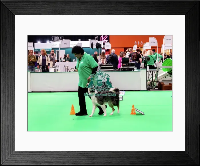 Framed Print : Have A Go Rally Display Framed Print : Have A Go Rally Display