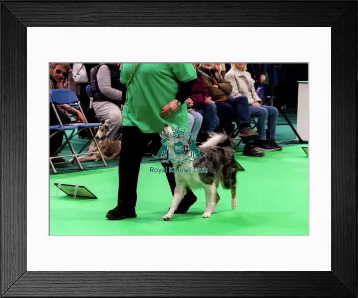 Framed Print : Have A Go Rally Display Framed Print : Have A Go Rally Display