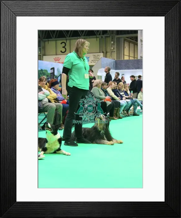Framed Print : Have a go at working trials Framed Print : Have a go at working trials
