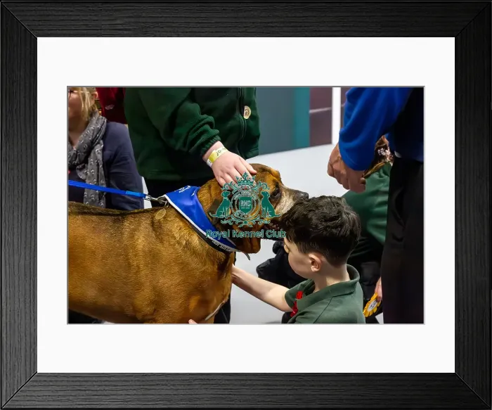 Framed Print : Local schoolchildren take part in bark and read Framed Print : Local schoolchildren take part in bark and read