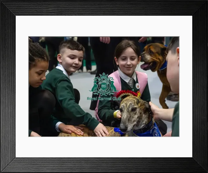 Framed Print : Local schoolchildren take part in bark and read Framed Print : Local schoolchildren take part in bark and read