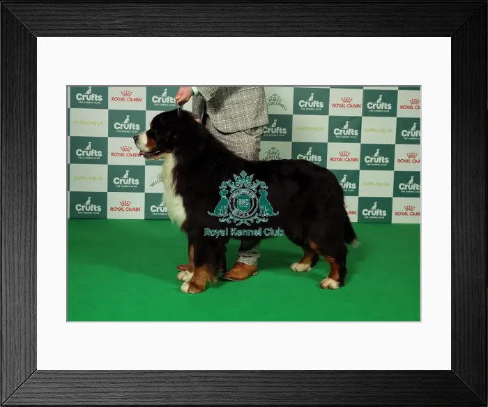Framed Print : BOB Sunday