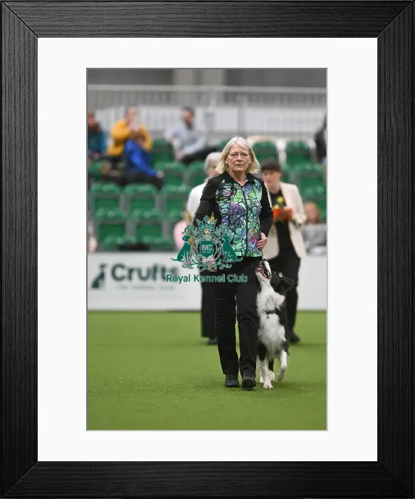 Framed Print : Karen Harrison & Havestorm Dream On Karen Harrison & Havestorm Dream On