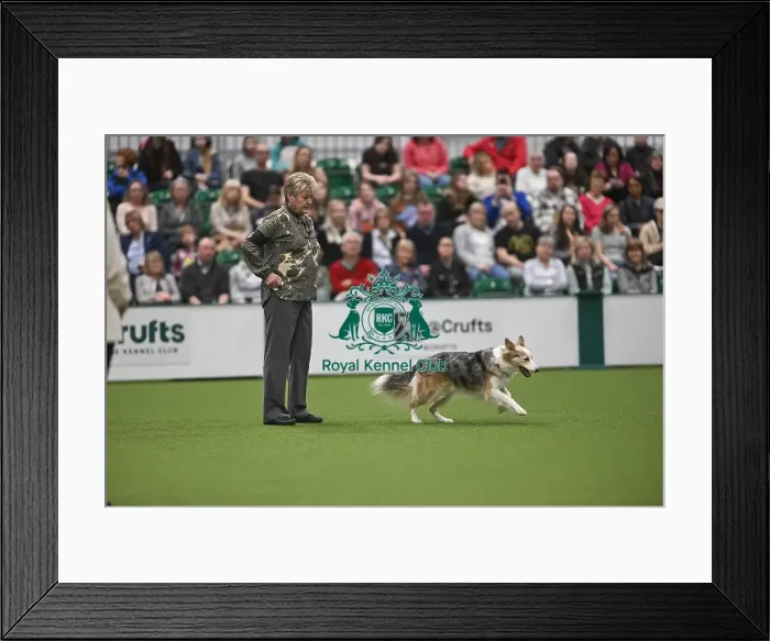 Framed Print : Mary Ray & Lyric Mary Ray & Lyric