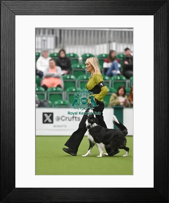 Framed Print : Sharon Dunstan & Colliewood Custom Design Sharon Dunstan & Colliewood Custom Design Framed Print : Sharon Dunstan & Colliewood Custom Design Sharon Dunstan & Colliewood Custom Design