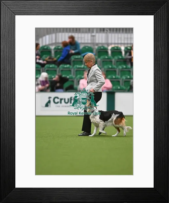 Framed Print : Lynn Tozer & OB CH Raital Kia Pop Lynn Tozer & OB CH Raital Kia Pop