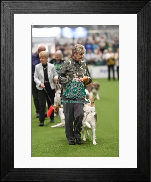 Framed Print : Mary Ray & Lyric Mary Ray & Lyric