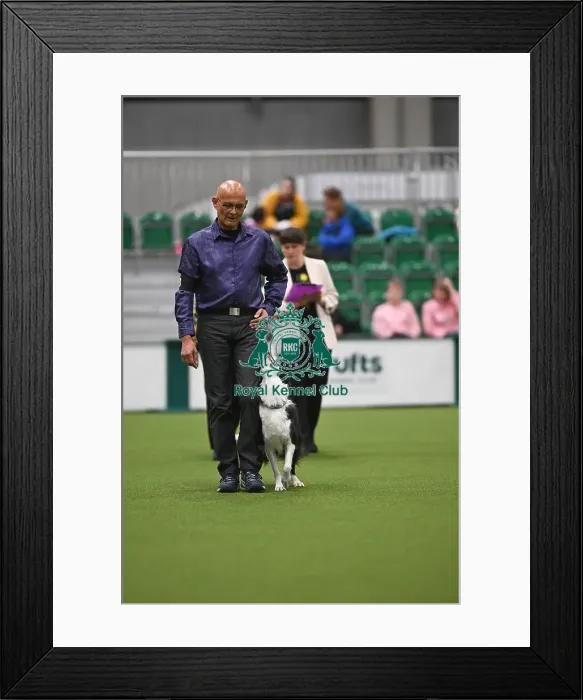 Framed Print : Guus Scholten & OB HalliGalli Moviestar Guus Scholten & OB HalliGalli Moviestar Framed Print : Guus Scholten & OB HalliGalli Moviestar Guus Scholten & OB HalliGalli Moviestar