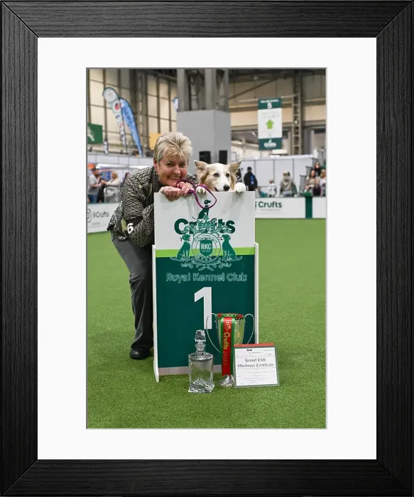 Framed Print : Mary Ray and Lyric, Bitch Obedience Championship 1st Place Framed Print : Mary Ray and Lyric, Bitch Obedience Championship 1st Place