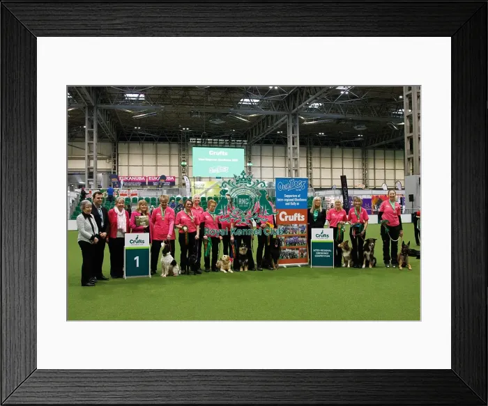 Framed Print : Inter-Regional Obedience Competition Framed Print : Inter-Regional Obedience Competition