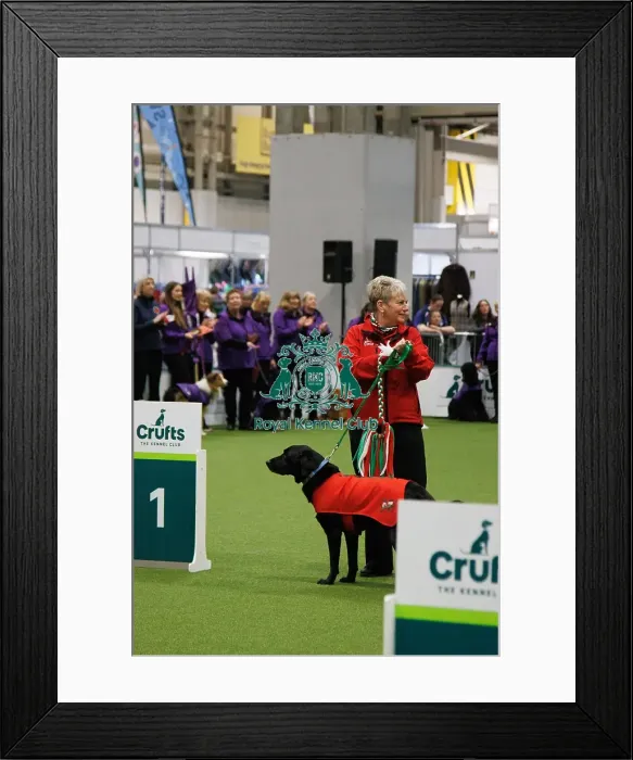 Framed Print : Inter-Regional Obedience Competition Framed Print : Inter-Regional Obedience Competition