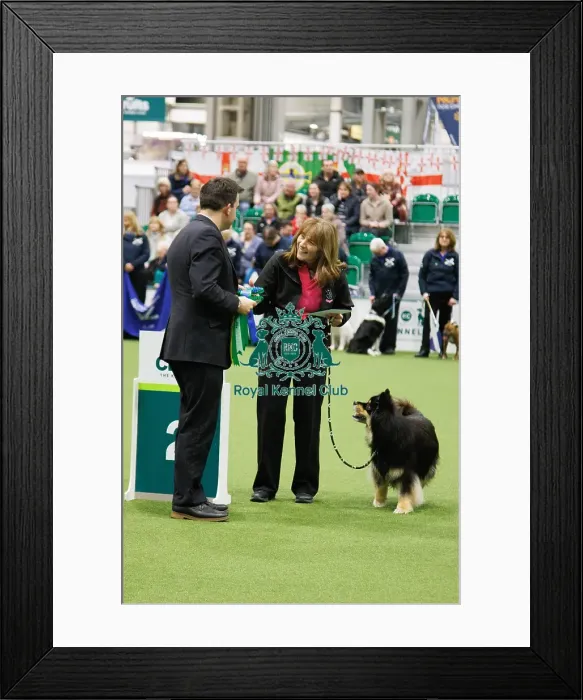 Framed Print : Inter-Regional Obedience Competition Framed Print : Inter-Regional Obedience Competition