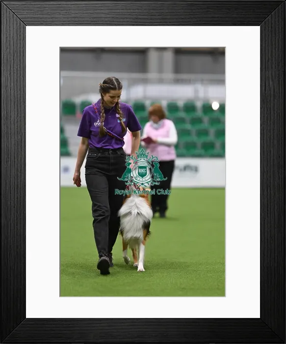 Framed Print : Obedience. Dog - Twix, Owner - Heather Mills Framed Print : Obedience. Dog - Twix, Owner - Heather Mills