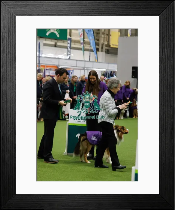 Framed Print : Inter-Regional Obedience Competition Framed Print : Inter-Regional Obedience Competition